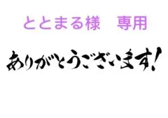 ととまる様　専用　2点