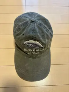 Alaska アラスカ 刺繍キャップ スーベニアキャップ 90s - メルカリ