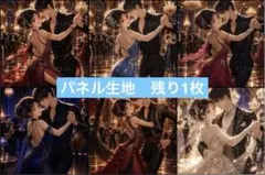 パネル生地　　Shall We Dance?　　（おまとめ値引き有り）　4組限定