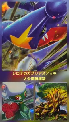 シロナのガブリアスex　構築済みデッキ　大会優勝デッキ　透明スリーブ付きのサムネイル