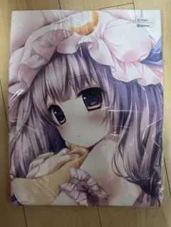 ぱんのみみ つきみちゃん 抱き枕カバー 美少女 - メルカリ