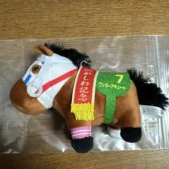 サラブレッドコレクション ワンダーアキュート