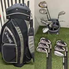 Item thumbnail for item 45902006-ce39-45bf-95bf-1a04e473ea94