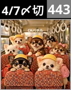 新柄♥️期間限定レアパネル生地 猫パネル生地 6柄セット CK