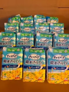 442【チャームナップ】吸水さらフィふんわり肌タイプ羽無し23cm 合計
