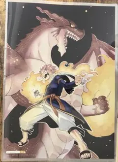 FAIRYTAIL 連載20周年記念版画 特性描き下ろしクリアポスター - メルカリ