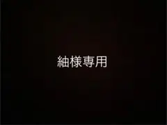 紬様専用 ドラゴンボール フィギュア 4体セット