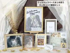 ウェルカムスペース✨まとめ売り お買い得セット 受付サイン トレペ付き 挙式装飾