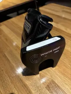 Item thumbnail for item c891c351-6fac-466b-bfb1-6adef582a79a