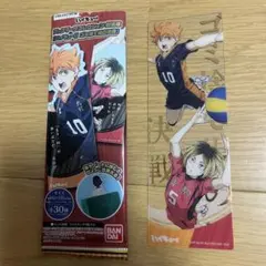 ブックマーク【日向翔陽 / 孤爪研磨】