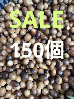 Item thumbnail for item 3cd833b0-1b5f-4bc8-a692-466bd859b73a