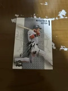 Item thumbnail for item 3486aa27-b6bd-4e54-80c3-b3b58670d14c