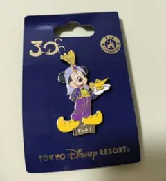 ディズニー 35周年 ミッキー ディズニーランド ピンバッジ ピンバッチ