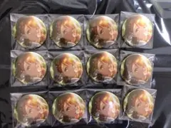 プロセカ 8B 花里みのり 缶バッジ 12個