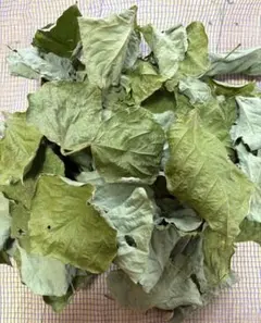 Item thumbnail for item b7a9372e-8ef0-40ed-9c00-ff25da0506a4