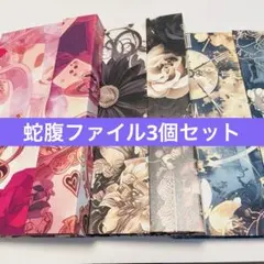 蛇腹ファイル おすそ分けファイル コラージュ素材 紙もの マステ 収納