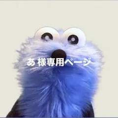あ 様専用ページ (ぬい)