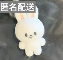 2026年最新】LeeKnow ぬいぐるみの人気アイテム - メルカリ