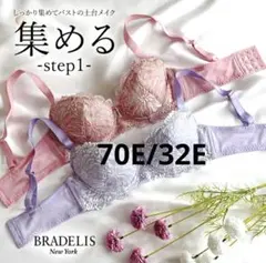 ブラデリスジャスミン育乳ブラ 70E/32E BRADELISのサムネイル