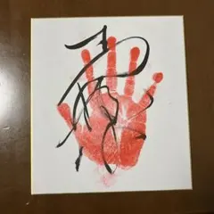 2025年最新】琴勝峰関の人気アイテム - メルカリ