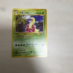 メガニウム　旧裏　ポケモンカード