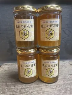 はちみつ【奈良の里】国産純粋 非加熱 1kg × 4個 百花はちみつ - メルカリ