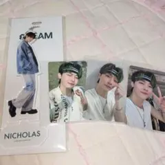 &TEAM ニコラス NICHOLAS アクリルキーリング トレカ