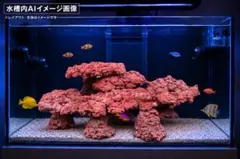 2026年最新】ライブロック 人工の人気アイテム - メルカリ