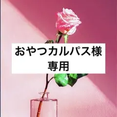 おやつカルパス様 リクエスト 2点 まとめ商品