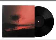 Joji「Piss In The Wind」LP シルエットカバー盤 新品未開封 - メルカリ