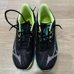 Item thumbnail for item dcd4293f-0034-40f8-9522-3dbc28410052