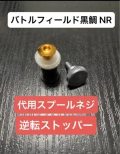 Item thumbnail for item e3b0d38a-544f-4760-9f80-f89500224f2e