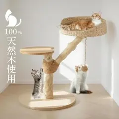 내추럴 커피 나무 캣 타워, 2단, 스타일리시, 라탄 스타일, 못이 달린 고양이