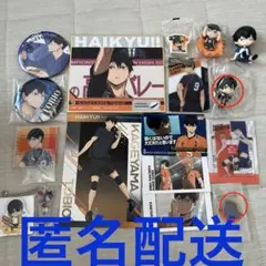 ハイキュー‼︎影山飛雄まとめ17点セット