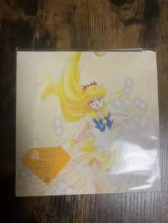 美少女戦士セーラームーン 乙女のポリシー レコード#セーラームーン