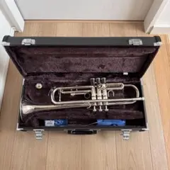 2026年最新】yamaha ytr-233の人気アイテム - メルカリ