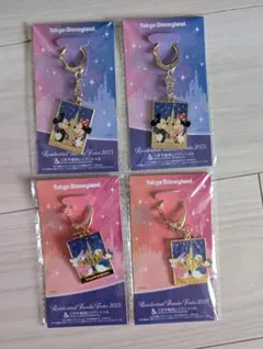 【非売品・新品未開封】東京ディズニーランド キーホルダー 4点セット