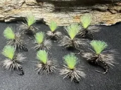 Item thumbnail for item e56de69c-d69d-40e3-a26c-1124eb8305d0