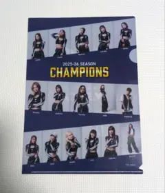 長崎ヴェルカ VELC クリアファイルのサムネイル