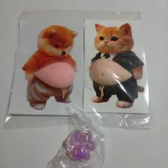 △　お腹　ぽっこり　シリコン　ぷにぷに　ステッカー　猫　柴犬　シール　2枚