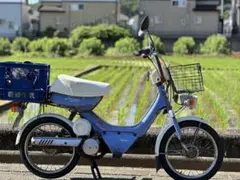 SUZUKI Susie スズキ スージーのサムネイル