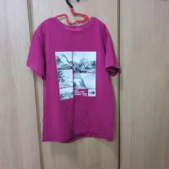 THE NORTH FACE ジョシュアツリー Tシャツ