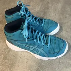 Item thumbnail for item b0b7b8bb-5122-4ad1-8a4d-81c402e08f6c