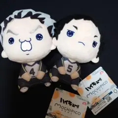 Item thumbnail for item 1cb14f5a-f992-4ccc-8842-a9873d590e34