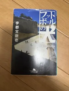 フットボールの犬