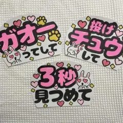 【穴開け無料】カンペうちわ　手書き