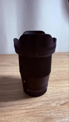 箱無極美品SIGMA16mm F1.4 DC DN | Sony Eマウント用 - メルカリ