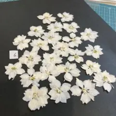 Item thumbnail for item 4a7e0a05-1b24-4f6d-ab8c-329a4d7beddb