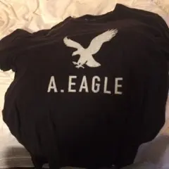 アメリカンイーグル 半袖Tシャツ 黒 レディース サイズL
