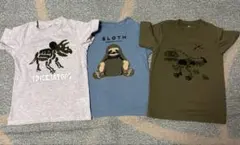 animal柄Tシャツ3枚セット　120cmのサムネイル